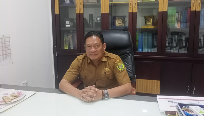 Hampir 5000 NIB Terbit di Karimun, Pemkab Kebutan Regulasi Insentif Investasi