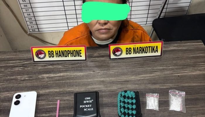 Satresnarkoba Polres Inhil Ungkap Dugaan Peredaran Sabu, Perempuan 44 Tahun Diamankan