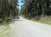 Pemkab Dharmasraya Siapkan Rp3,96 Miliar untuk Pengaspalan Jalan Taratak Tinggi