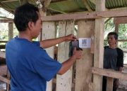 Sidik Ternak, Inovasi Digital Dharmasraya Percepat dan Akuratkan Data Peternakan