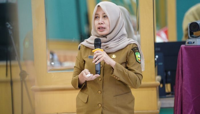 RSUD Arifin Achmad Jalani Akreditasi Ulang, Targetkan Kembali Predikat Paripurna